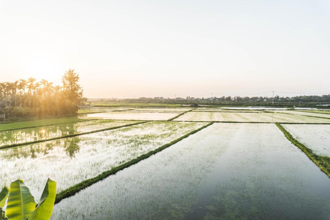 Mimi House Hotel Hội An Buitenkant foto
